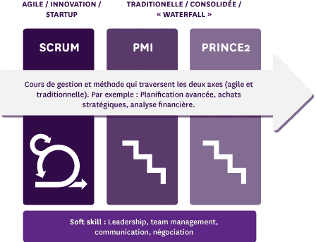 The skills developed for the MSc Management de Projet of NEOMA